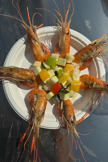 assiettes de crevettes