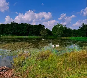 parc naturel de la brenne au 1000 étangs