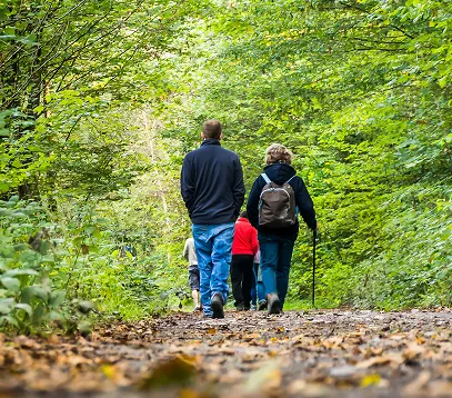 chemin de randonnées dans la brenne
